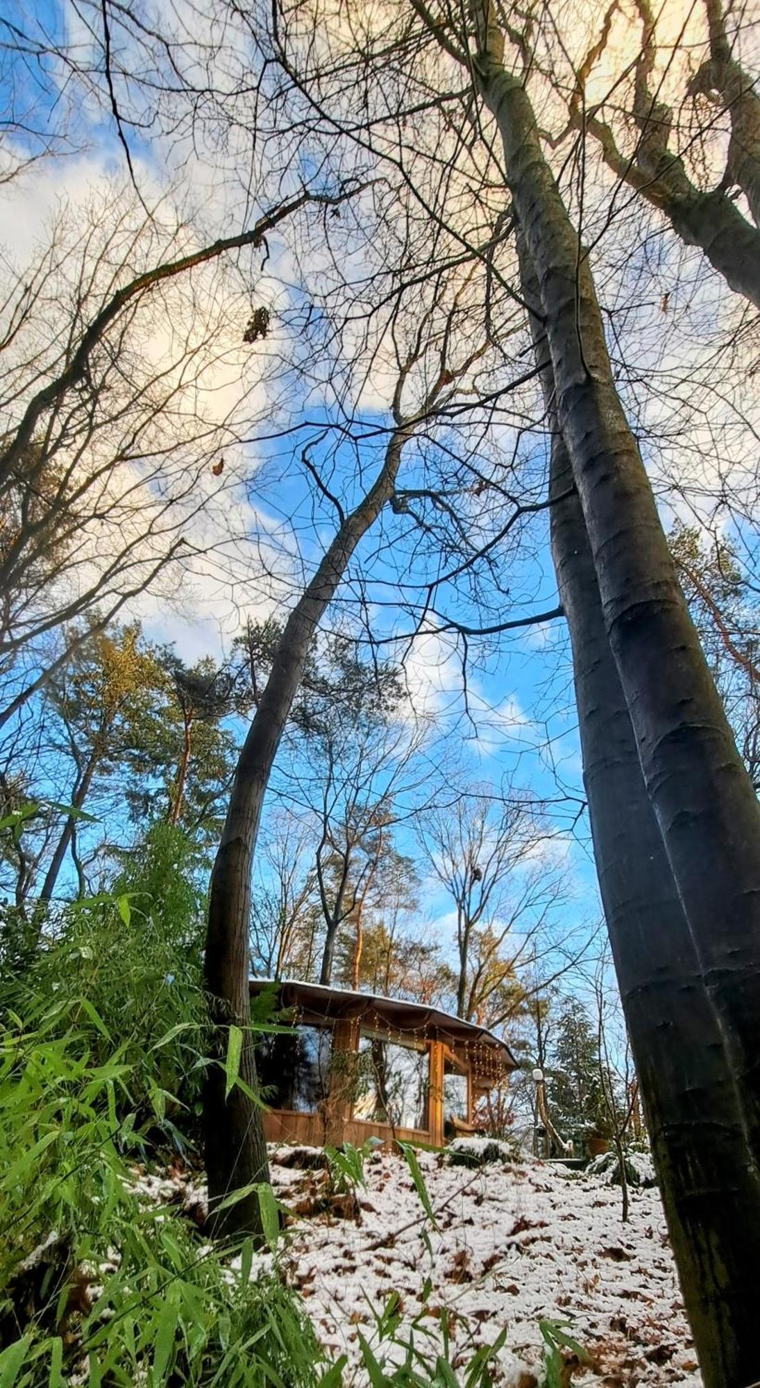 Woeste Hoogte - Lodge